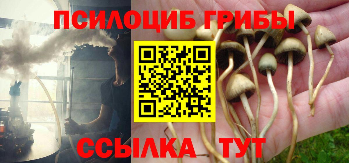 Псилоцибиновые грибы ЛСД Красный Сулин